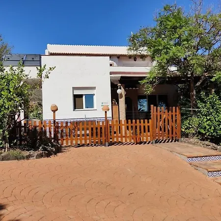 Palmera