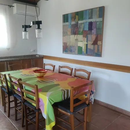 Palmera * Arenas (Malaga)