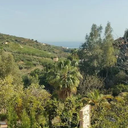 Palmera Arenas (Malaga)