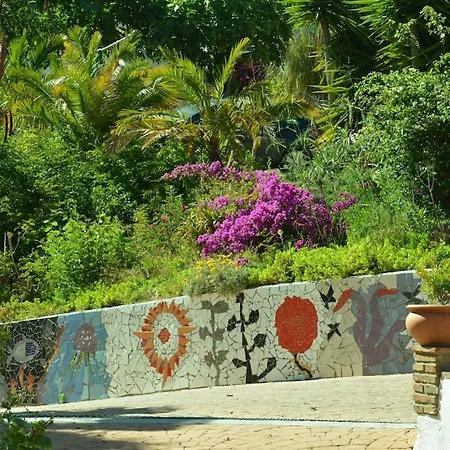 Palmera