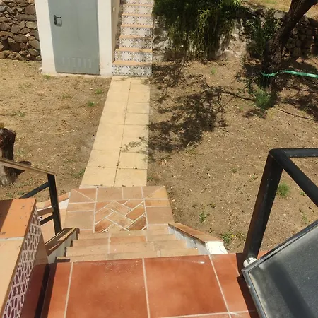 Palmera 4*